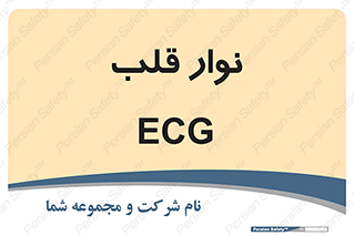  , سینه , 