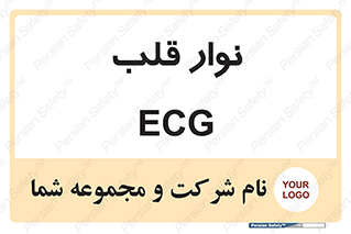  , سینه , 