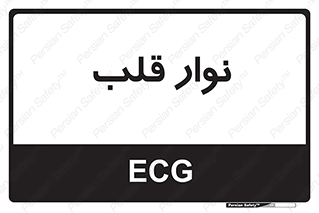  , سینه , 