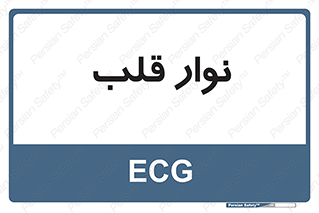  , سینه , 