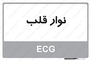  , سینه , 