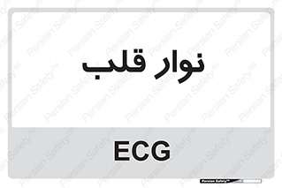  , سینه , 