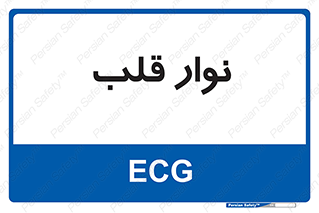  , سینه , 