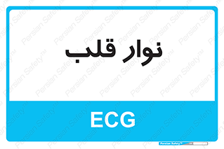  , سینه , 
