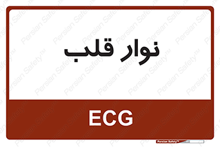  , سینه , 