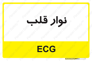  , سینه , 