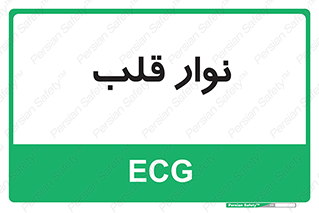  , سینه , 
