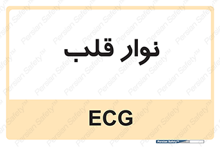  , سینه , 