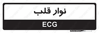  , سینه , 