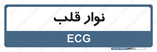  , سینه , 