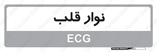  , سینه , 