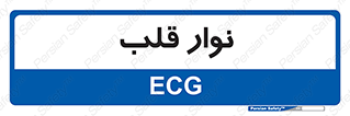  , سینه , 