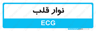  , سینه , 