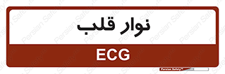  , سینه , 