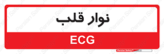  , سینه , 