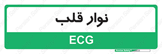  , سینه , 