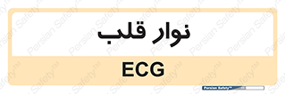  , سینه , 