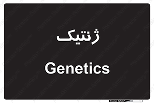  , دی ان ای , 