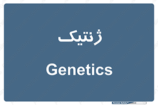  , دی ان ای , 
