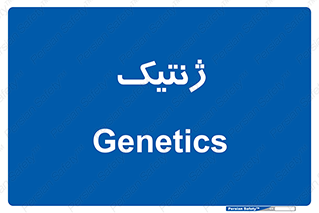  , دی ان ای , 