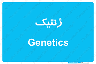  , دی ان ای , 