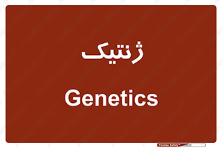  , دی ان ای , 