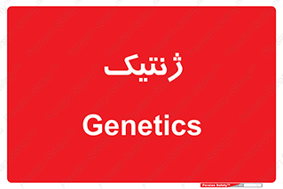  , دی ان ای , 