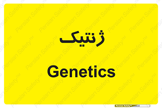  , دی ان ای , 