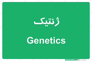  , دی ان ای , 