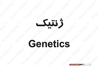  , دی ان ای , 