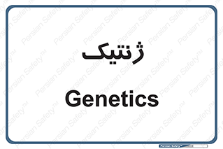  , دی ان ای , 