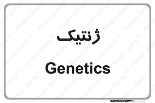  , دی ان ای , 