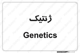  , دی ان ای , 