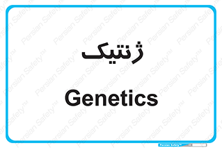  , دی ان ای , 