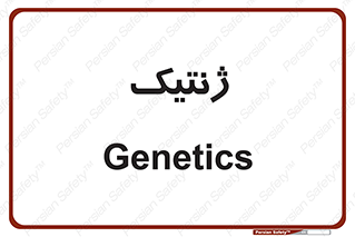  , دی ان ای , 