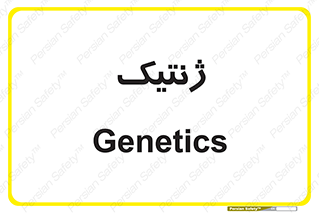  , دی ان ای , 
