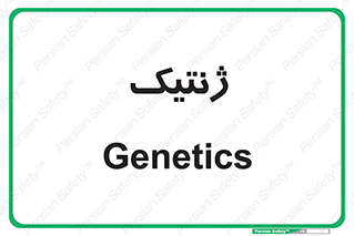  , دی ان ای , 