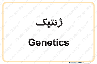  , دی ان ای , 
