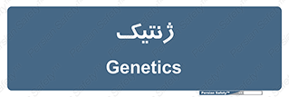  , دی ان ای , 