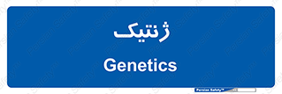  , دی ان ای , 