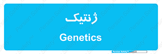  , دی ان ای , 