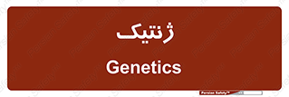  , دی ان ای , 