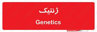  , دی ان ای , 