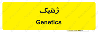  , دی ان ای , 