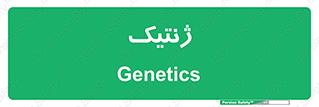  , دی ان ای , 