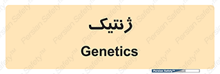  , دی ان ای , 