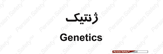  , دی ان ای , 