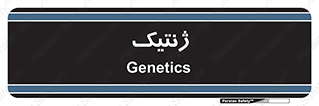  , دی ان ای , 
