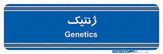  , دی ان ای , 
