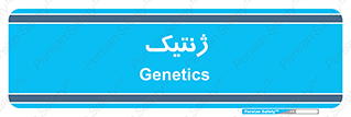  , دی ان ای , 